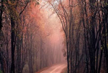 金州勇士队2023-24赛季深度复盘，从重建阵痛到季后赛曙光，库追汤王朝余晖下的新生与挑战，金州勇士，王朝余晖下的新生与挑战