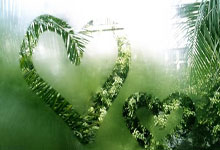 nba球星对姚明到底多服气？