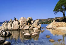 球星去世nba，我们为何如此心痛？