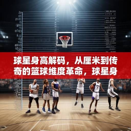 球星身高解码，从厘米到传奇的篮球维度革命，球星身高解码，从厘米到传奇的篮球维度革命