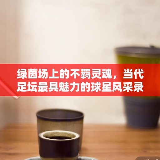 绿茵场上的不羁灵魂，当代足坛最具魅力的球星风采录，绿茵不羁魂