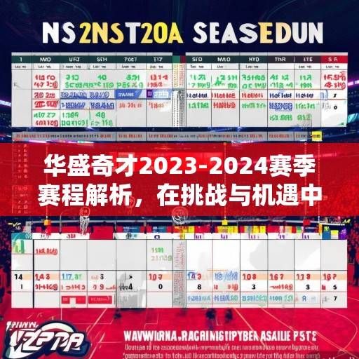 华盛奇才2023-2024赛季赛程解析，在挑战与机遇中寻找突围之路，华盛奇才2023-2024赛季，挑战与机遇中的突围之路