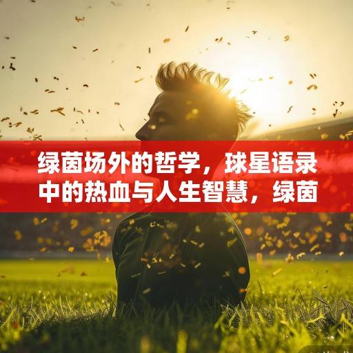 绿茵场外的哲学，球星语录中的热血与人生智慧，绿茵场外的哲学，球星语录中的热血与人生智慧