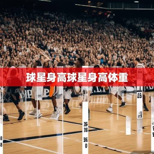 球星身高解码，从数据标签到篮球场上的动态博弈，球星身高解码，从数据标签到球场动态博弈
