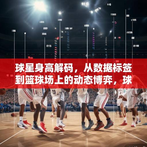 球星身高解码，从数据标签到篮球场上的动态博弈，球星身高解码，从数据标签到球场动态博弈