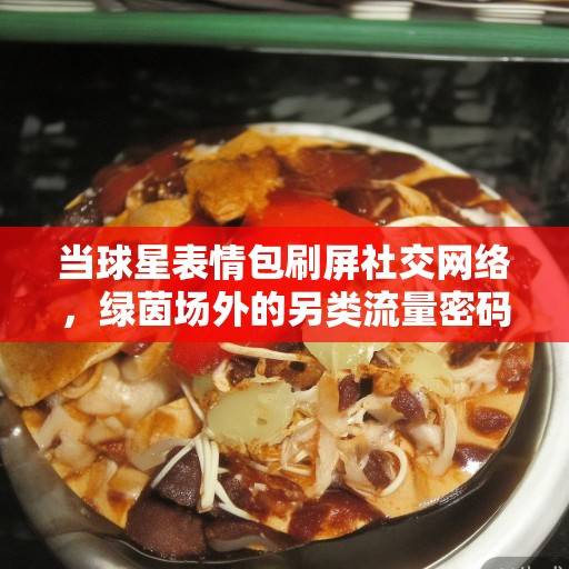 当球星表情包刷屏社交网络，绿茵场外的另类流量密码与文化传播，球星表情包，绿茵场外的另类流量密码与文化使者