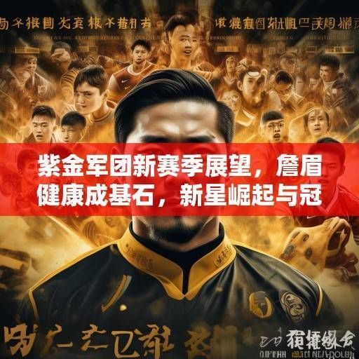 紫金军团新赛季展望，詹眉健康成基石，新星崛起与冠军底蕴的碰撞，紫金军团，詹眉健康铸基石，新星崛起与冠军底蕴碰撞新征程